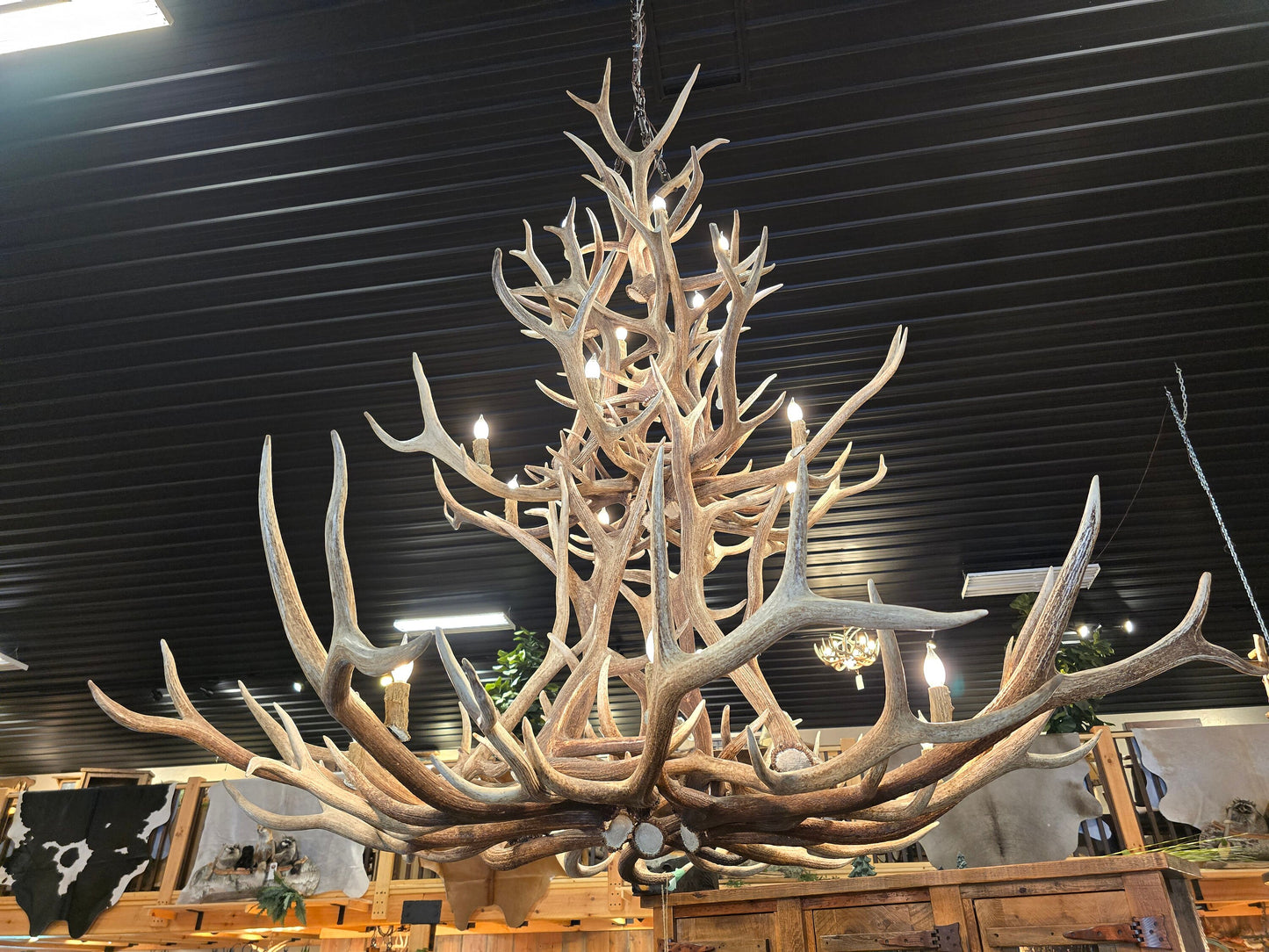 Elk Antler Floral Chandelier - Genuine - Free Shipping!